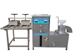 興光200型全自動(dòng)豆腐機(jī) 青州興光豆制品機(jī)械廠的高效生產(chǎn)利器與專(zhuān)業(yè)維修服務(wù)