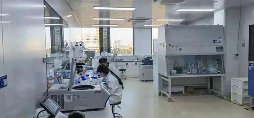 奉賢生物技術(shù)企業(yè)新春發(fā)力，研發(fā)一線“火力全開”沖刺全年目標(biāo)